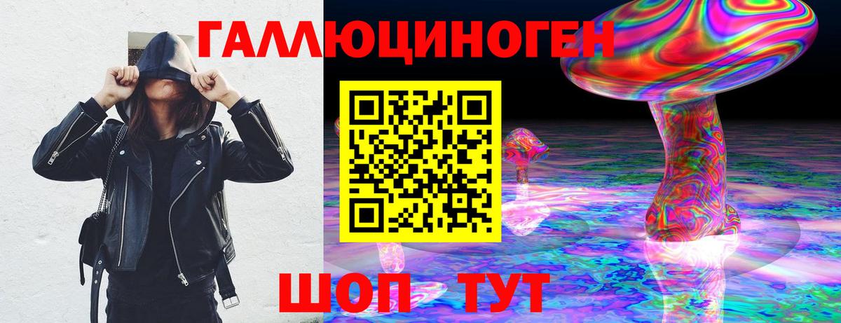 Псилоцибиновые грибы мицелий Гусь-Хрустальный